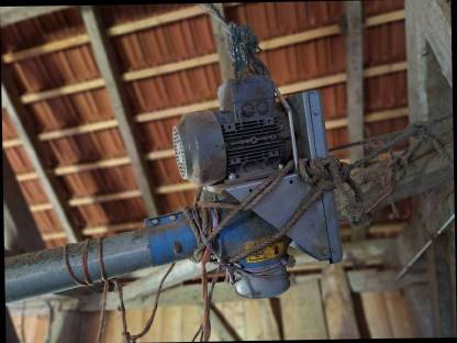 Bild 3:Körnerschnecke