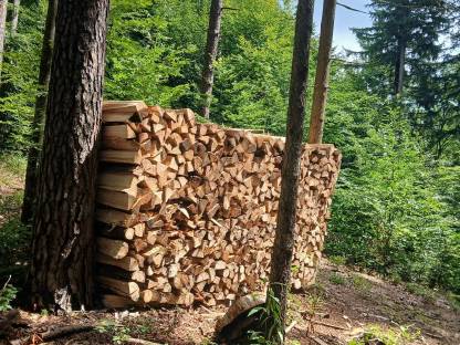 Bild 2:Brennholz, Scheitholz