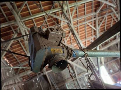 Bild 2:Körnerschnecke