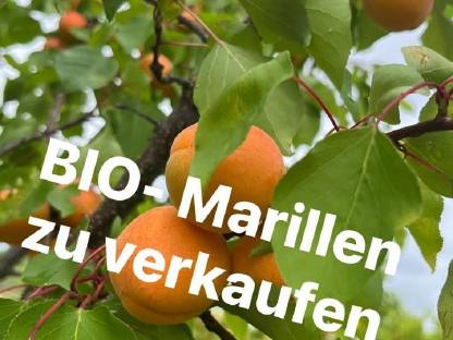 BIO Marillen