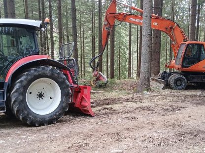 Bild 2:Forstdienstleistungen