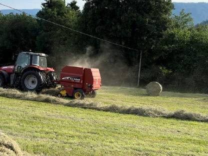 Bild 3:Heuballen