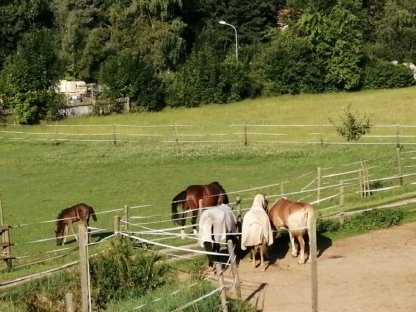 Bild 5:Pferdeeinstellplätze