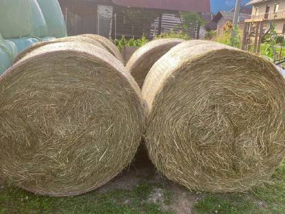 Bild 2:Heuballen Bio