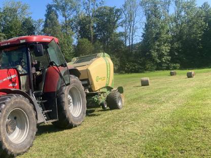 Bild 3:80 Bio-Heuballen ampferfrei