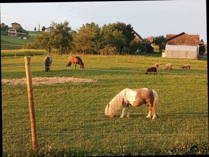 Bild 2:Einstellplatz