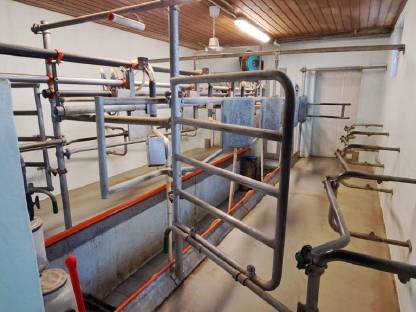 Bild 4:Melkstand 2x4 Swing Over Fischgräten