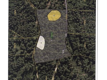 2,5 ha Wald zu verkaufen