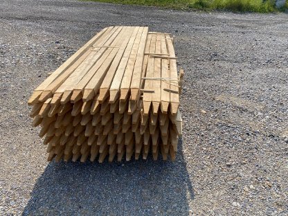 Bild 5:Akazienstecken