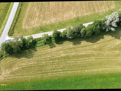 Landwirtschaftliche Grünfläche