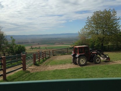 Bild 2:40 ha Koppeln zu verpachten, ganz oder teilweise