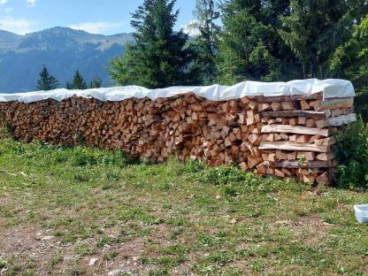 Bild 3:Brennholz