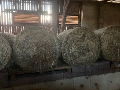 Bild 2:Heu Rundballen 1. und 2. Schnitt 2024