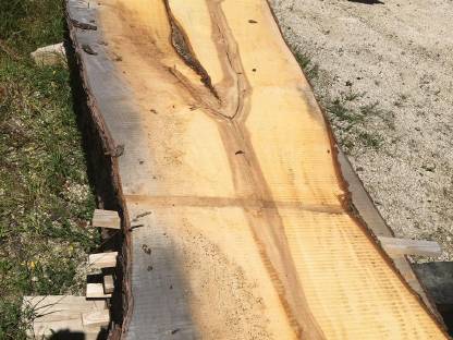 Bild 4:Tischplatte Kastanie