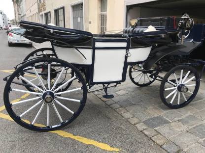 Bild 4:Original Lederlandauer