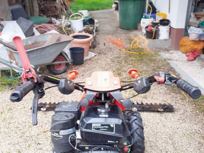 Bild 5:Motormäher Fort