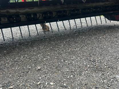 Bild 5:Fella Zinkenaufbereiter KC 275 D