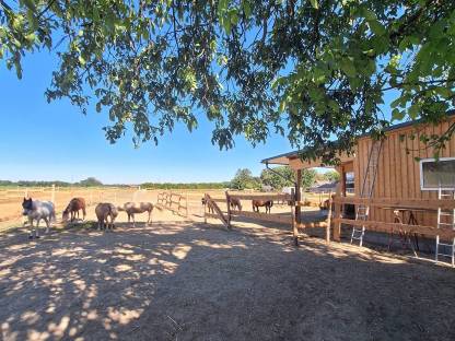 Einstellplatz in einem Naturparadies