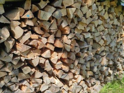 Bild 2:Buchenbrennholz zu verkaufen