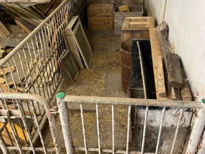 Bild 5:Schweineaufstallung