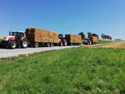 Bild 2:Stroh in Quaderballen