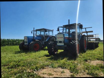 Bild 3:Eicher gesucht