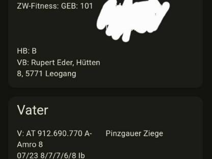 Bild 9:Pinzgauer Ziegen