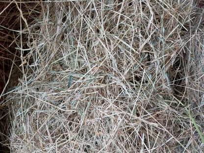 Bild 4:Rundballen Heu