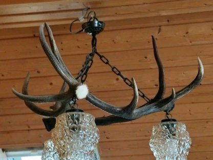 Bild 3:Deckenleuchte aus Hirsch-Abwurfstangen