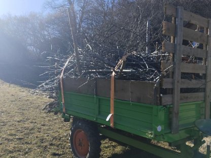 Bild 2:Einachser-Schlepper Agria