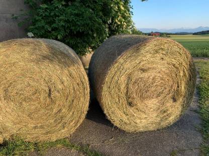 Bild 2:Heu in Rundballen
