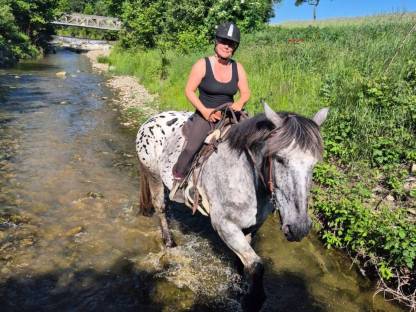 Bild 3:Lord und Jolly suchen Mitreiter