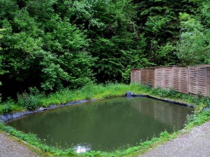 Teich mit Quelle zur Pacht gesucht - Fischzucht(Eigenbedarf)