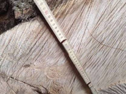 Bild 2:Eschenholz Holzscheibe für Tischplatte