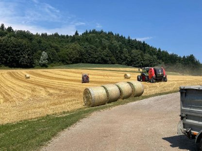 Verkaufe Bio Stroh