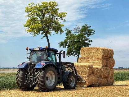Bild 3:Stroh 2025