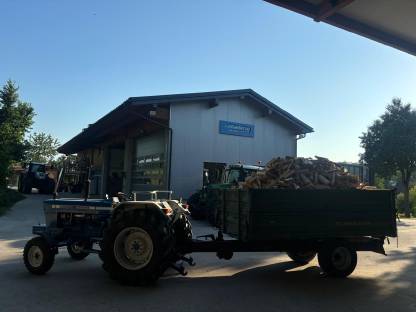 Bild 4:Buchen-Eschen Brennholz