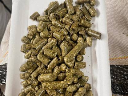 Bild 3:Heu, Luzernepellets