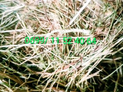 Bild 2:Heuballen Pferdeheu