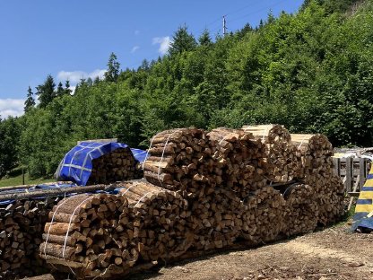 Bild 6:Forstdienstleistungen