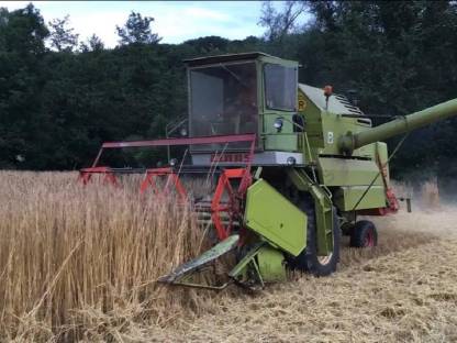 Claas Mercator 50