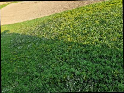 Bild 4:Bio Heuballen klein