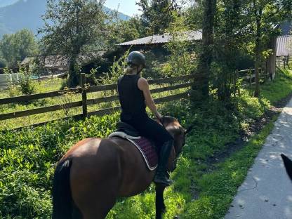 Bild 4:Wunderschöne Wb-Stute