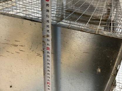 Bild 4:Gluckenkäfig, Quarantänestall