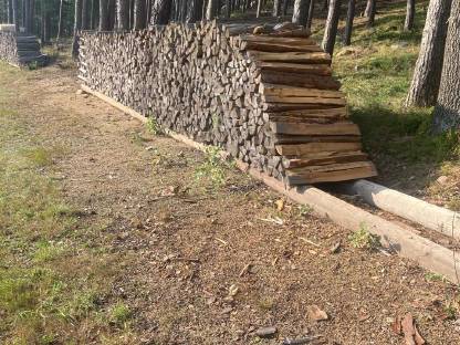 Bild 2:Brennholz Fichte/Kiefer