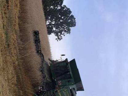 Grünschnittroggen Ernte 2025