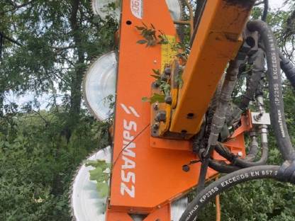 Bild 2:Biete Dienstleistung mit Astsäge, Böschungsmulcher