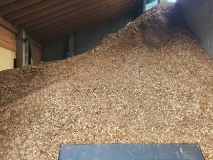 Hackschnitzel überwiegend Hartholz