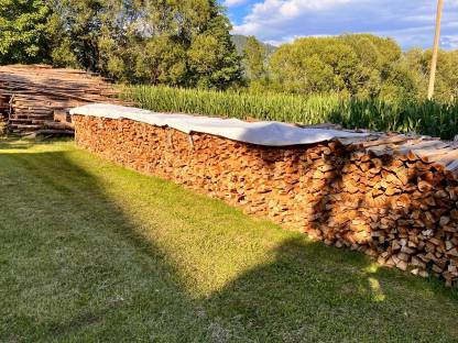 Brennholz Buche
