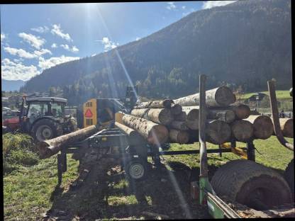 Bild 4:Aufforstung, Kulturpflege, Forstarbeit, Brennholzerzeugung